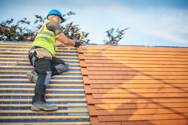 Best Roof Maintenance and Cleaning  in Colmar Manor, MD